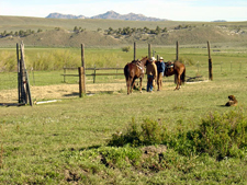 USA-Wyoming-Cochran Working  Ranch